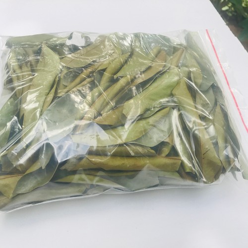 Dried Soursop leaves - 100% Pure Organic Graviola Leaf Tea from Sri Lanka - Picture 8 of 14