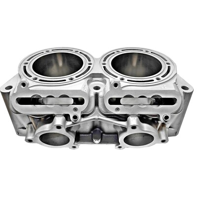 OEM Polaris 850 Cylinder 2019-2024 3023433 AXYS Pro RMK Indy Rush
