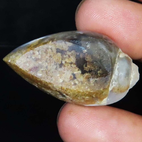 (21X38X16 MM) 87.45 Carat. NATURAL FOSSIL SNAIL DRUZY CABOCHON LOOSE GEMSTONE - Picture 2 of 6
