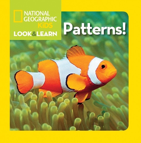 Discover Patterns - Interactive Board Book for Early Learning