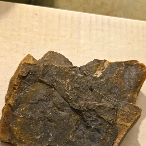 #557 Fossil Imprint Rock Slab Specimen, Dark Gray With Striations