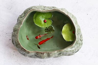 Bonsai Lotus Pot, Shallow Ceramic Succulent Planter Pot , Goldfish Pot