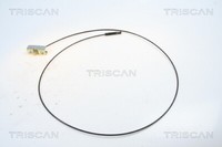 Triscan 8140 251101 Kabel, Feststellbremse FüR Nissan, Opel, Renault, Vauxhall