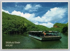 Wailua River Fern Grotto Boat Ride Kauai Hawaii Postcard
