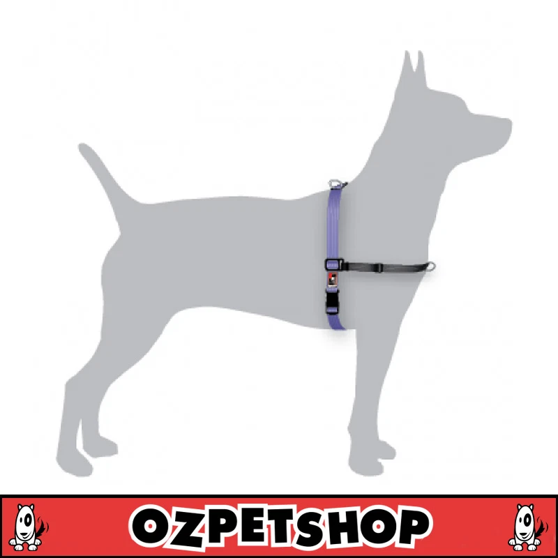 Black dog top wear balance harness