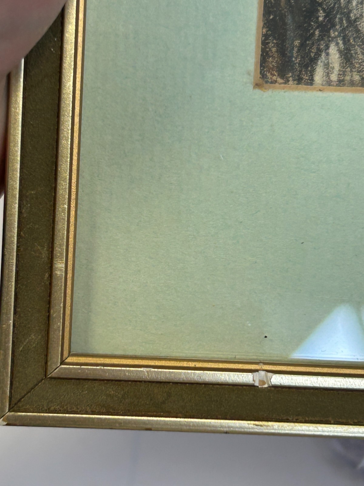 Picture 5 of 8