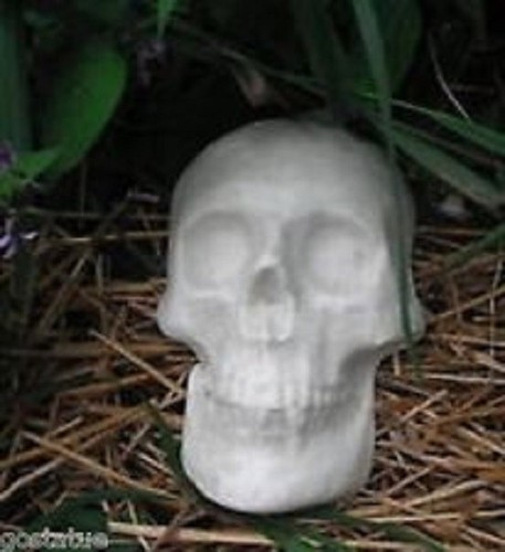 Skull plastic mold plaster concrete resin  mould 7.5" x 5" x 2" reusable - Picture 1 of 3