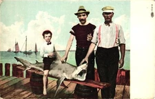 Shark Fisherman Catch Postcard 1900s Little Boy with Bowtie sitting on the Fish