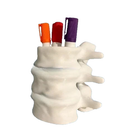 Vertebrae-Inspired Pen Holder – Spine Desk Organizer for Halloween Office Decor