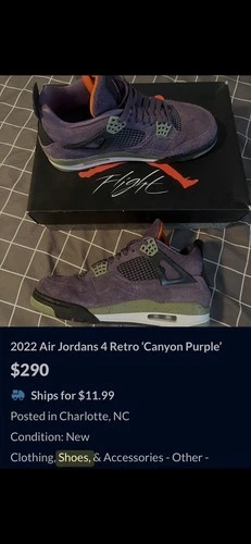 Air Jordan 4 Retro Canyon Purple Women's Sneakers Size 10