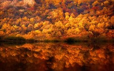 Landscape nature fall forest lake reflection yellow Custom Gaming Mat Desk