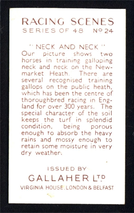 Gallaher Racing Scenes (1938) Neck & neck No. 24 - Image 2 of 2