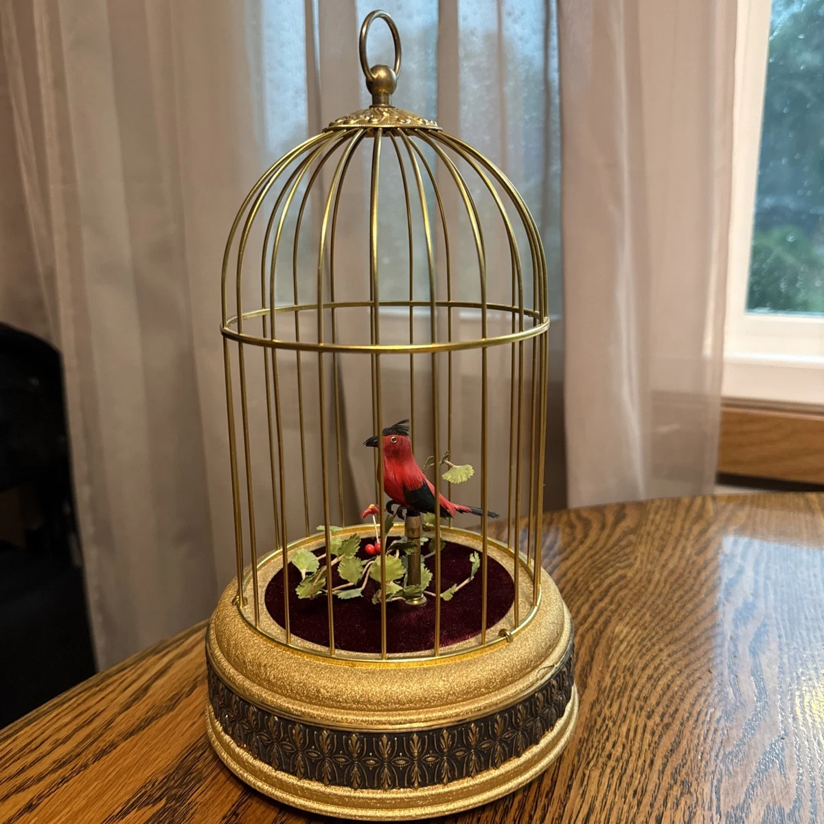 German Singing Bird In Collectible Music Boxes (1900-1940) for
