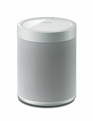 alexa compatible wireless speakers