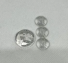 Silver Round Lot - 1 Noah’s Ark 1/4oz .999 fine Silver Round + 3 Grams Silver