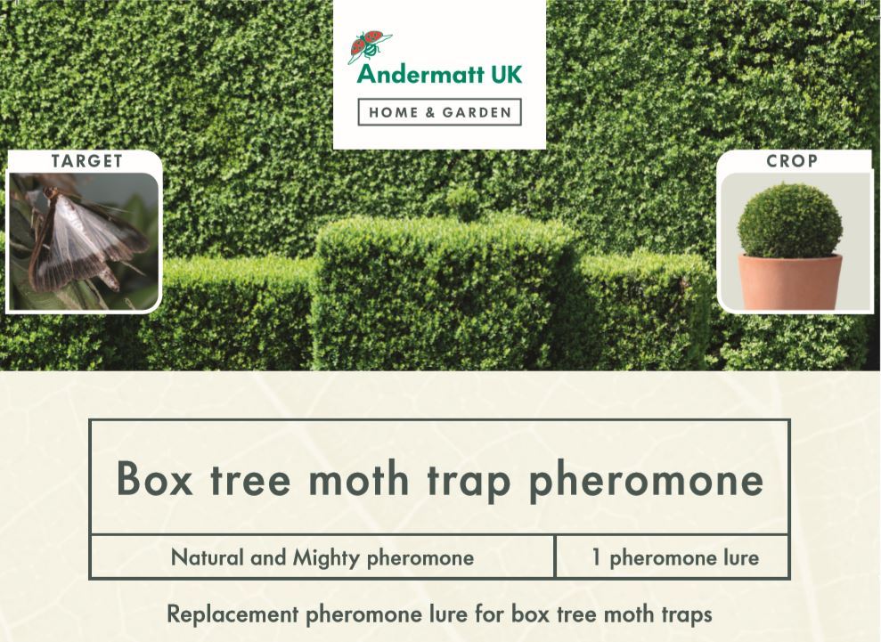 Refill Pheromone For Box Tree Moth Trap - Andermatt Home & Garden
