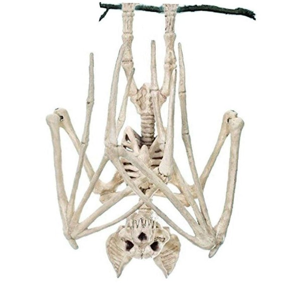 Halloween Dekoration Fledermaus Skelett Gruselig Realistisch Party Requisit-image