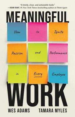 Meaningful Work | How to Ignite Passion and Performance in Every Employee | Buch