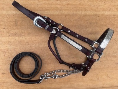 Silver Western Show Halter w Lead ~ TOP QUALITY Leather ~ BUTTER SOFT