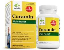 Terry Naturally Curamin Pain Relief - 120 Capsules