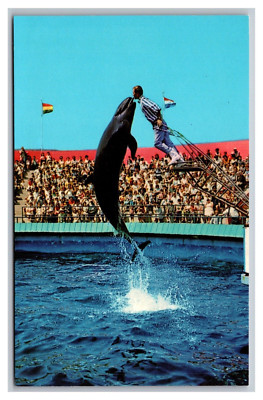 Rancho Palos Verdes CA California Marineland of the Pacific Chrome Postcard