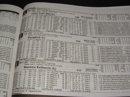 SONGBIRD 2016 PHILADELPHIA PARX COTILLION STAKES PROGRAM $2 WIN TICKET 11th WIN - Picture 3 of 3