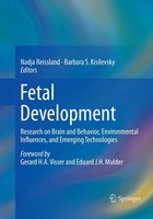 Barbara S. Kisilevsky (U. A.) | Fetal Development | Taschenbuch | Englisch | Xix