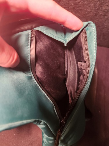 Reisetasche für Peak und oder Peak Pro Emerald Green Official Merch - wenig benutzt - Bild 6 von 13