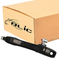 Blic 6010-12-046401P TüRgriff Aussen Vorne Links FüR Honda CR-V II 09.01-09.06