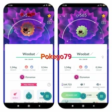 Pokemon Shiny Dynamax Woobat (Tr.a.d.e 20k stardust or P.T.C 80k stardust)