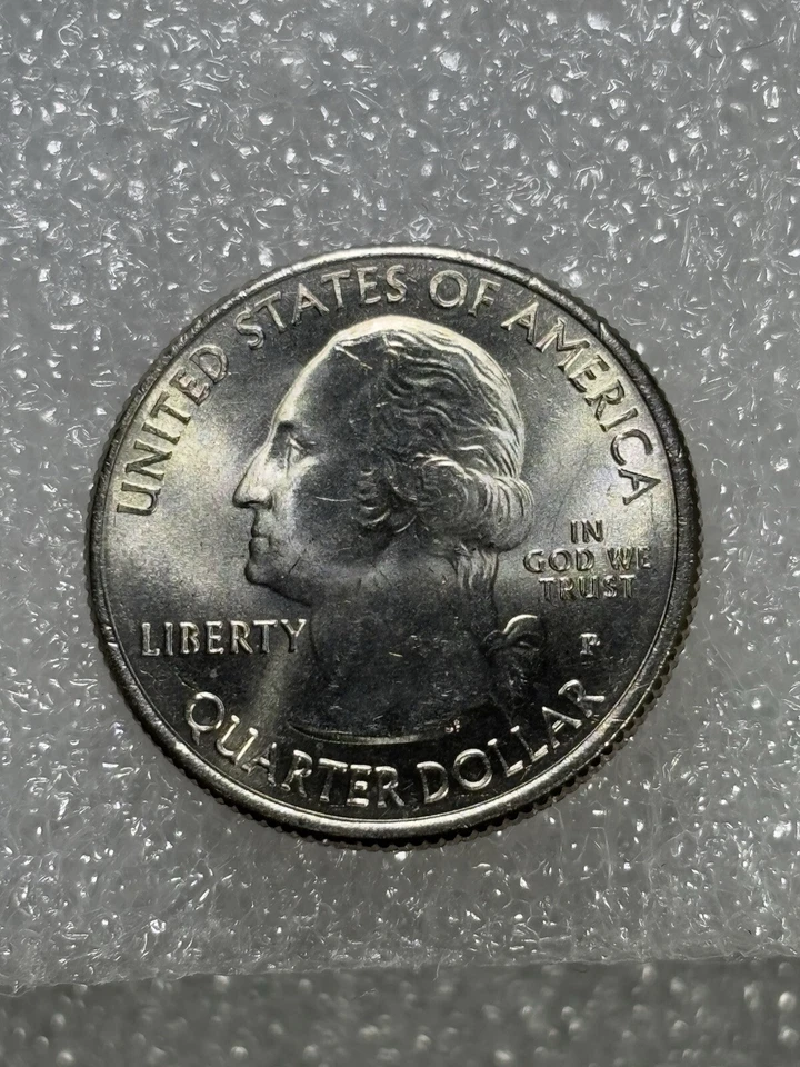 2015 Homestead Error Quarter Die Chips, Die Crack And Die Clash excellent Cond. - Image 2 of 4