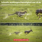 Bild 8 von 16