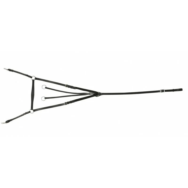 Vorderzeug mit Ringmartingal aus Büffelleder. Edelstahlschnalle Riding World Neu