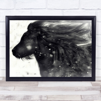 Little Wild Thing Schnee Wind Wind Pferd Pferde Tier Tiere s/w Wandbild Kunstdruck