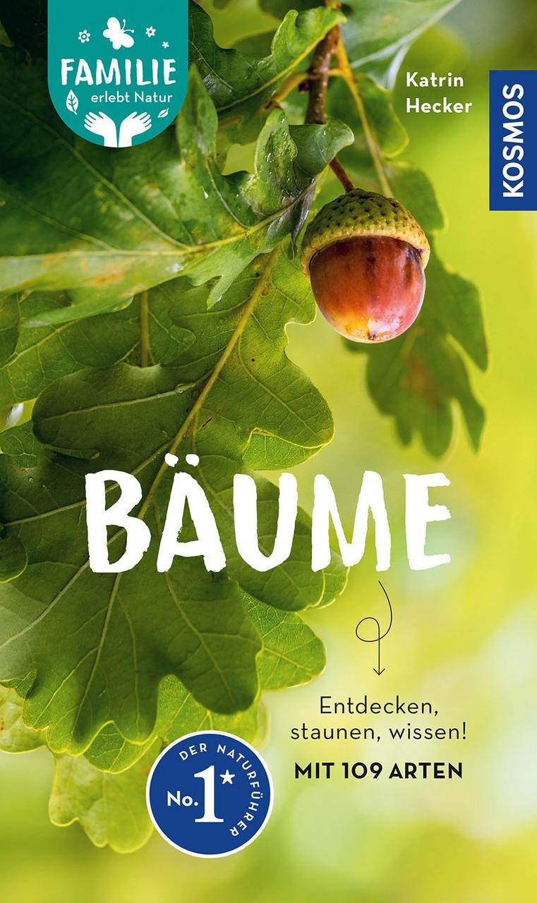 Bäume Katrin Hecker