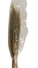 Stipa pennata 30/50cm verde oliva Pacini trade
