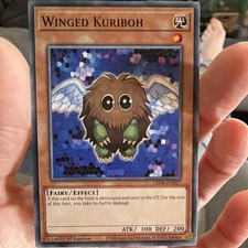 Winged Kuriboh LED6-EN017 Legendary Duelists: Magical Hero Yu-Gi-Oh 1st Ed NM