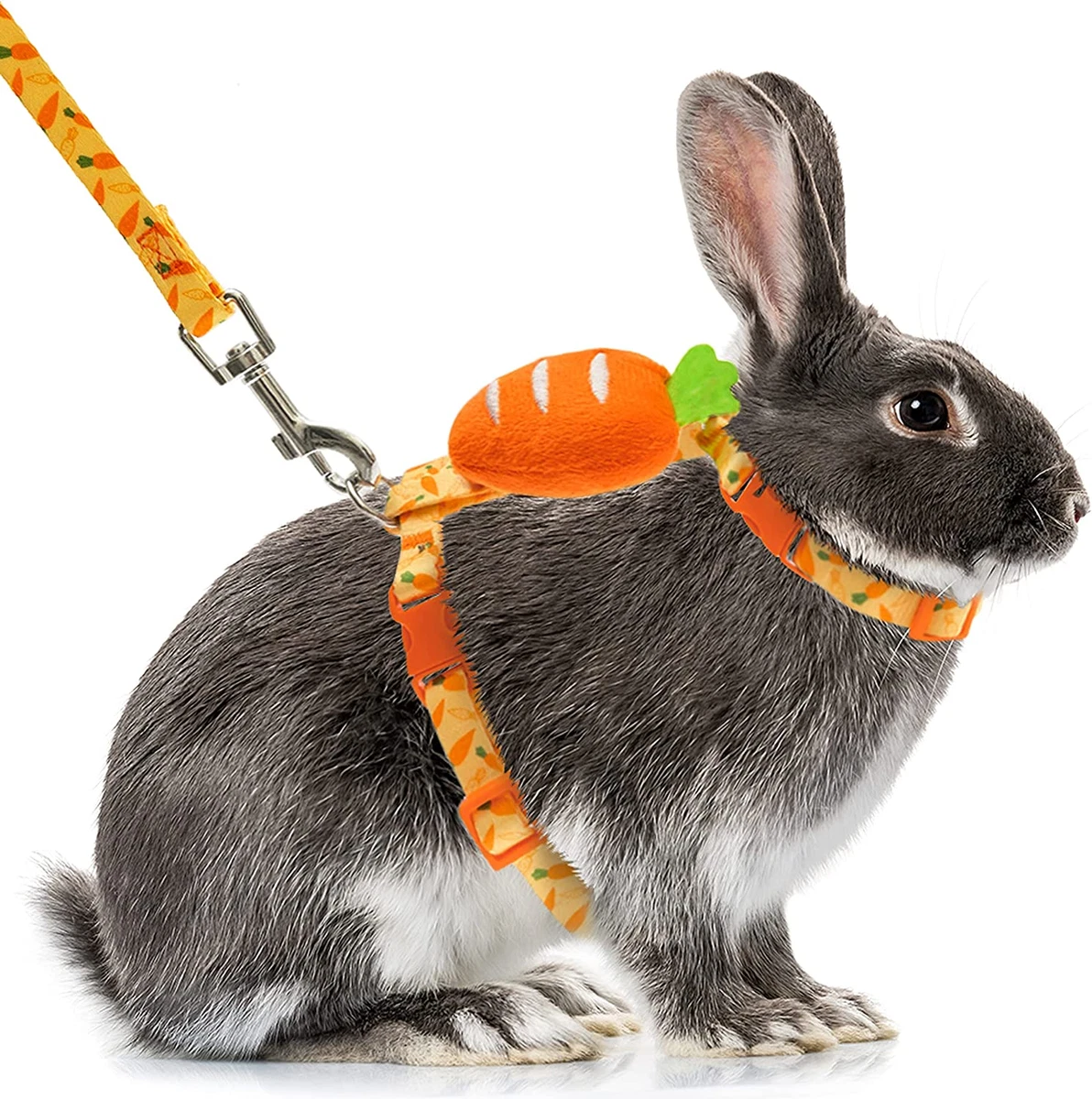 Walking a bunny on a leash cheap