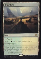 Brushland 259/287 The Brothers' War Rare Land MTG