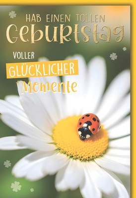 Geburtstag Glückwunschkarte mit Umschlag Blüte mit Glückskäfer Tag voller glückl