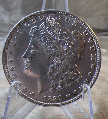 1889 P *MORGAN DOLLAR* CHOICE TO GEM BU MS(64-65) PROOF LIKE* #2669