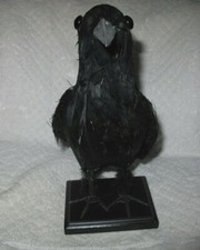 Black Crow Raven Large standing 11" Halloween Table Decoration Spooky Fall