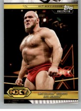 2019 Topps WWE NXT Wrestling Base Singles (Pick Your Cards)