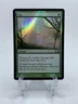 Fog - M12 Core Set 2012 - MTG - Foil COM - Magic The Gathering