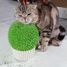 Miwoowim Catnip Feeder - Cat Face Scratcher Wall Corner Massage Comb green