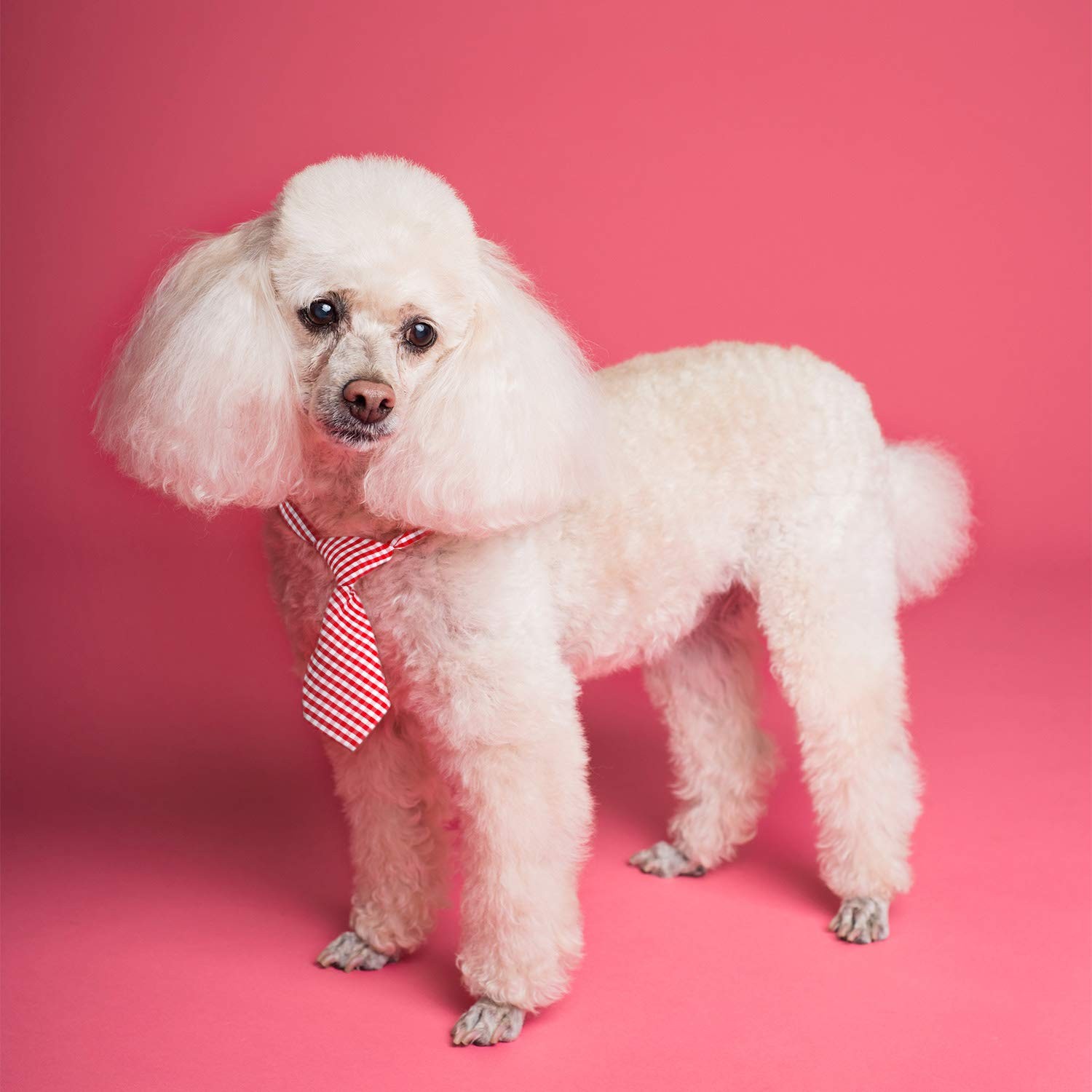 Dogs Neckties Small Dog Neck Bow Ties Adjustable Collar Pet Bowties Small