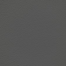 BMW Silver Leather Dye