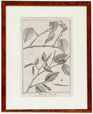 Robert Béenard (1734-1794) - 18th Century Engraving, Le Pivre & Le Betel