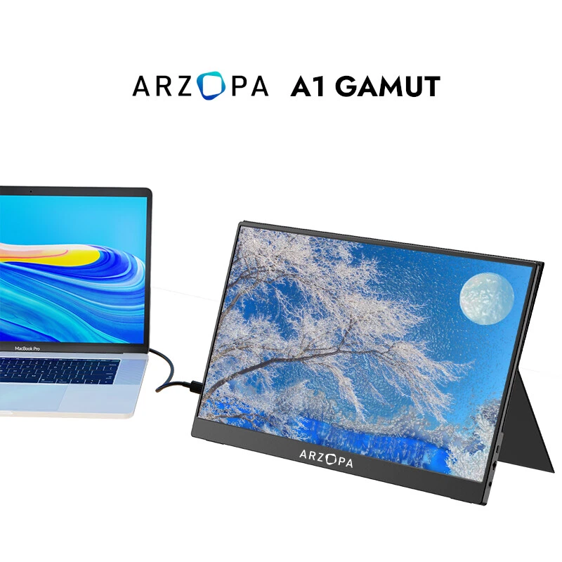 External monitor online