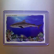 2021 Allen & Ginter Deep Sea Shiver Tiger Shark #DSS-4